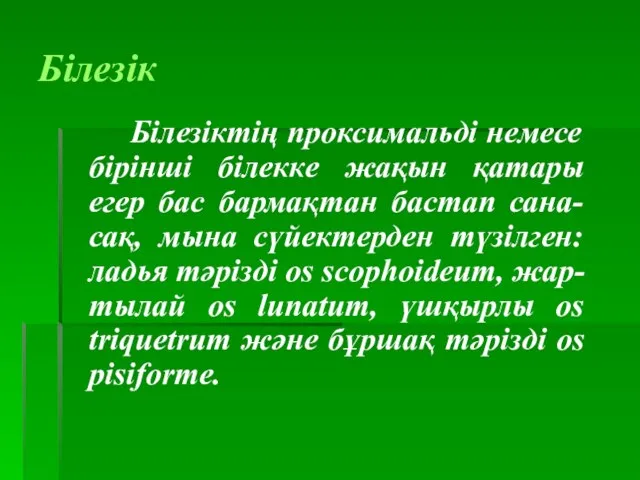 Білезік Білезіктің проксимальді немесе бірінші білекке жақын қатары егер бас бармақтан бастап