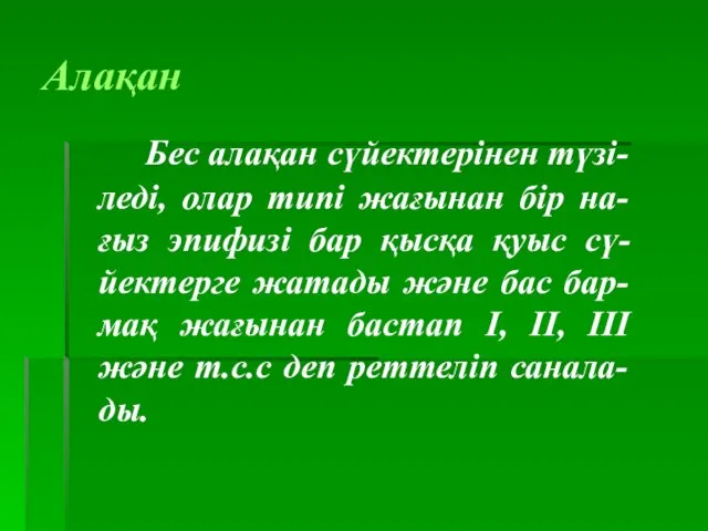 Алақан Бес алақан сүйектерінен түзі-леді, олар типі жағынан бір на-ғыз эпифизі бар