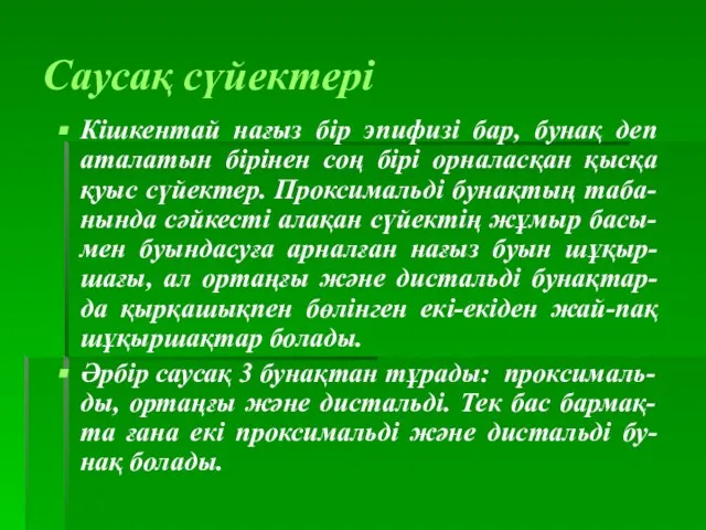 Саусақ сүйектері Кішкентай нағыз бір эпифизі бар, бунақ деп аталатын бірінен соң