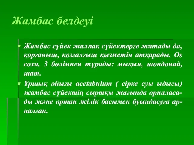 Жамбас белдеуі Жамбас сүйек жалпақ сүйектерге жатады да, қорғаныш, қозғалғыш қызметін атқарады.