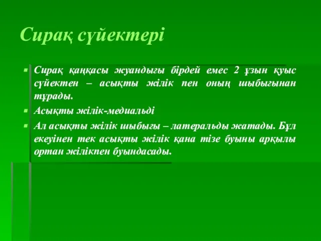 Сирақ сүйектері Сирақ қаңқасы жуандығы бірдей емес 2 ұзын қуыс сүйектен –