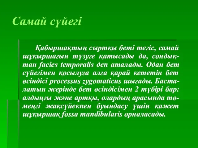 Самай сүйегі Қабыршақтың сыртқы беті тегіс, самай шұқыршағын түзуге қатысады да, сондық-тан