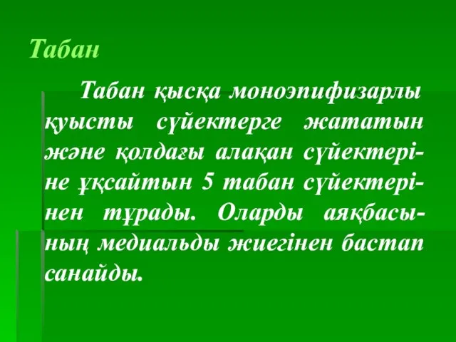 Табан Табан қысқа моноэпифизарлы қуысты сүйектерге жататын және қолдағы алақан сүйектері-не ұқсайтын