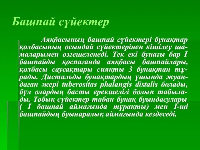 Башпай сүйектер Аяқбасының башпай сүйектері бунақтар қолбасының осындай сүйектерінен кішілеу ша-маларымен өзгешеленеді.