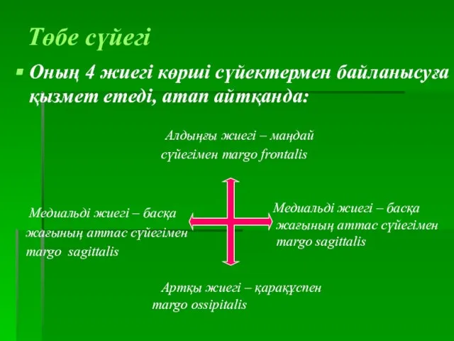 Төбе сүйегі Оның 4 жиегі көрші сүйектермен байланысуға қызмет етеді, атап айтқанда: