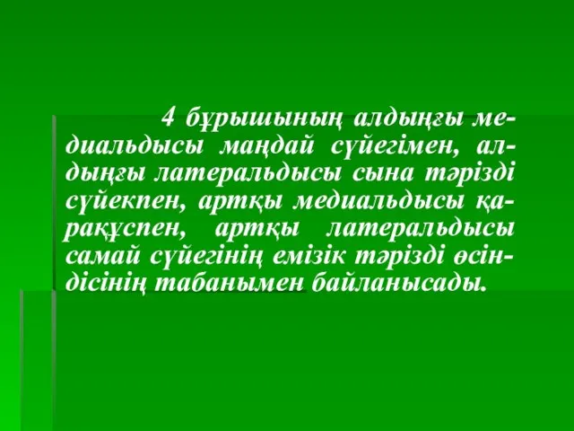 4 бұрышының алдыңғы ме-диальдысы маңдай сүйегімен, ал-дыңғы латеральдысы сына тәрізді сүйекпен, артқы