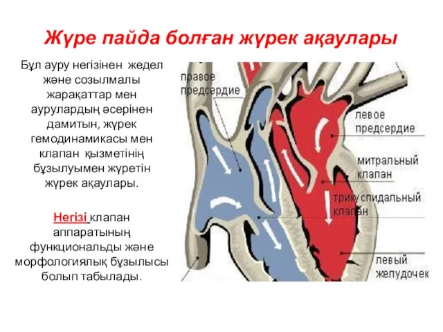 Жүре пайда болған жүрек ақаулары Бұл ауру негізінен жедел және созылмалы жарақаттар