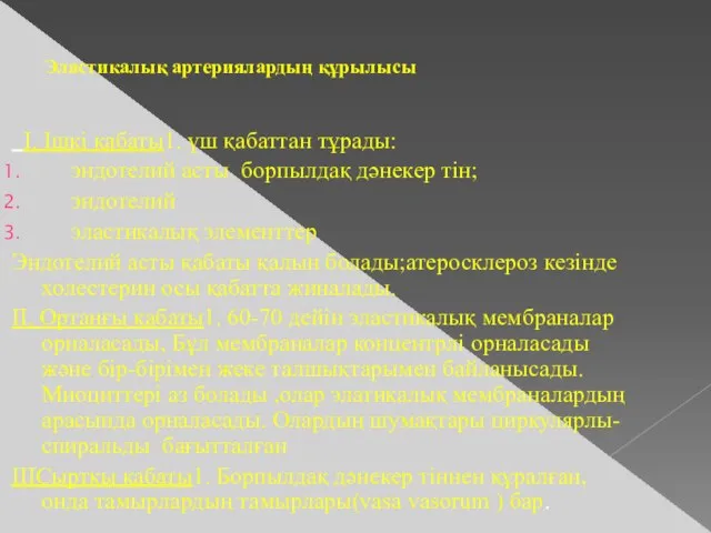 Эластикалық артериялардың құрылысы I. Ішкі қабаты1. үш қабаттан тұрады: эндотелий асты борпылдақ