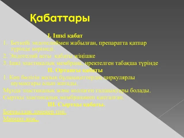 Қабаттары I. Ішкі қабат 1. Беткейі эндотелиймен жабылған, препаратта қатпар түрінде көрінеді.