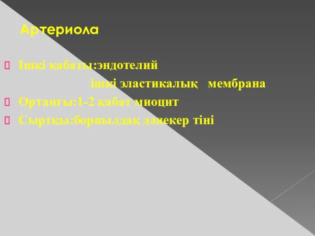 Артериола Ішкі қабаты:эндотелий ішкі эластикалық мембрана Ортанғы:1-2 қабат миоцит Сыртқы:борпылдақ дәнекер тіні