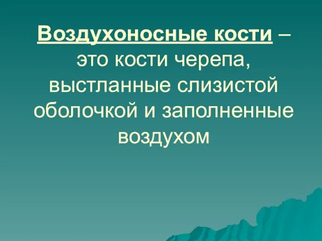 Воздухоносные кости – это кости черепа, выстланные слизистой оболочкой и заполненные воздухом