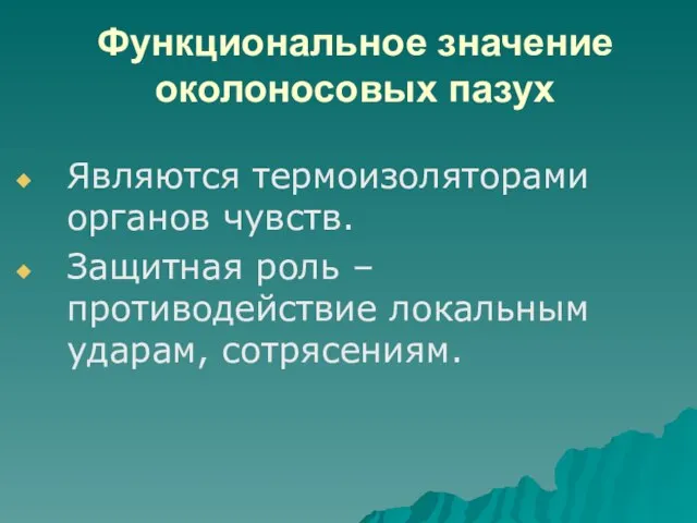 Функциональное значение околоносовых пазух Являются термоизоляторами органов чувств. Защитная роль – противодействие локальным ударам, сотрясениям.