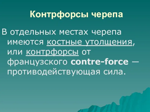 Контрфорсы черепа В отдельных местах черепа имеются костные утолщения, или контрфорсы от