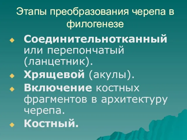 Этапы преобразования черепа в филогенезе Соединительнотканный или перепончатый(ланцетник). Хрящевой (акулы). Включение костных