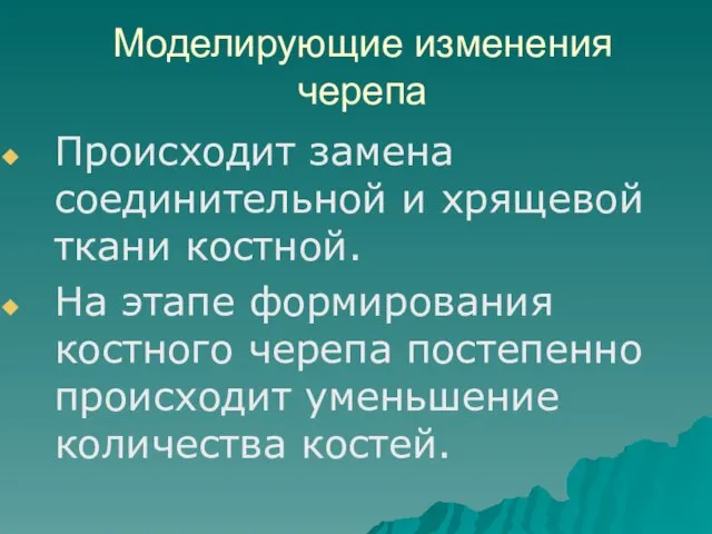 Моделирующие изменения черепа Происходит замена соединительной и хрящевой ткани костной. На этапе