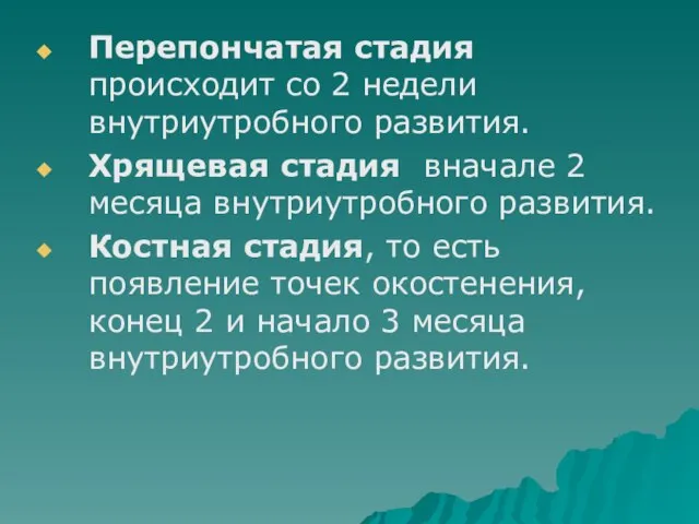 Перепончатая стадия происходит со 2 недели внутриутробного развития. Хрящевая стадия вначале 2