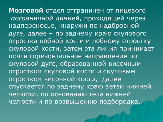 Мозговой отдел отграничен от лицевого пограничной линией, проходящей через надпереносье, кнаружи по