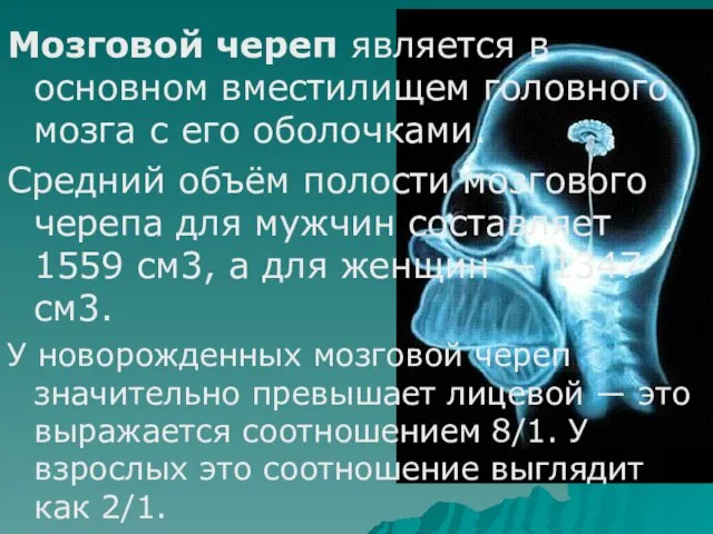 Мозговой череп является в основном вместилищем головного мозга с его оболочками. Средний