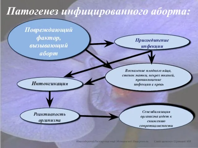 Повреждающий фактор, вызывающий аборт Присоединение инфекции Воспаление плодного яйца, стенок матки, некроз