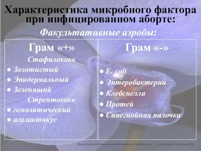 Характеристика микробного фактора при инфицированном аборте: Факультативные аэробы: Грам «+» Стафилококк ●