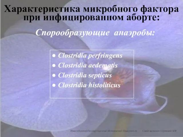 Спорообразующие анаэробы: ● Clostridia perfringens ● Clostridia aedematis ● Clostridia septicus ●