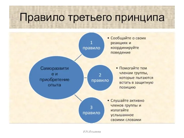 Правило третьего принципа Саморазвитие и приобретение опыта И.А.Ильяева