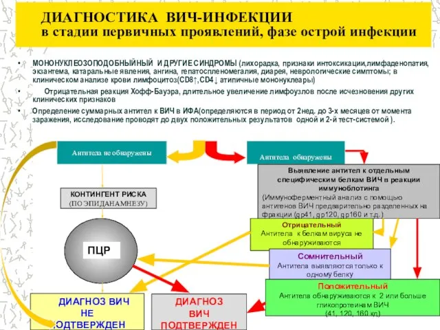 ДИАГНОСТИКА ВИЧ-ИНФЕКЦИИ в стадии первичных проявлений, фазе острой инфекции МОНОНУКЛЕОЗОПОДОБНЫЙНЫЙ И ДРУГИЕ