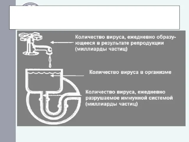 Что такое вирусная нагрузка