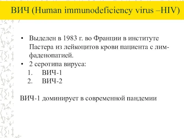 ВИЧ (Human immunodeficiency virus –HIV) Выделен в 1983 г. во Франции в
