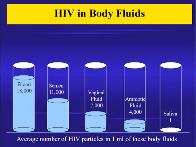 HIV in Body Fluids Semen 11,000 Vaginal Fluid 7,000 Blood 18,000 Amniotic