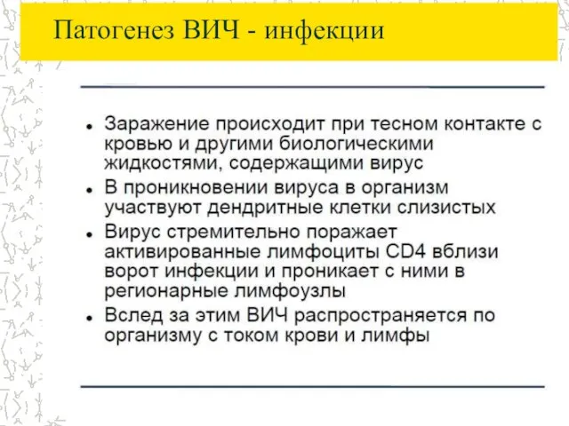 Патогенез ВИЧ - инфекции