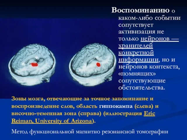 Воспоминанию о каком-либо событии сопутствует активизация не только нейронов — хранителей конкретной