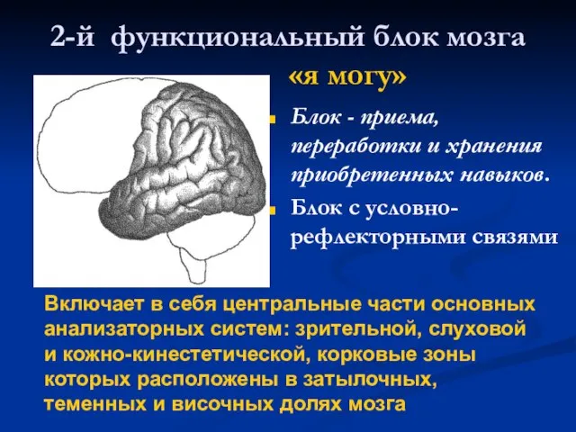 2-й функциональный блок мозга «я могу» Блок - приема, переработки и хранения