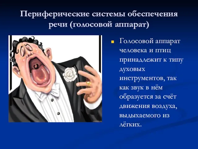 Голосовой аппарат человека и птиц принадлежит к типу духовых инструментов, так как