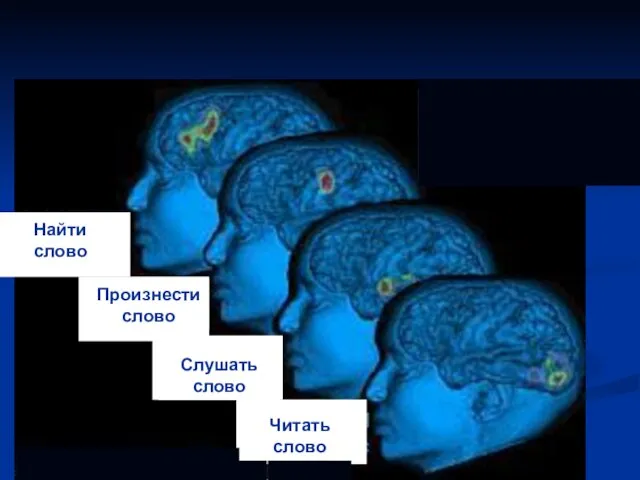 Найти слово Произнести слово Слушать слово Читать слово