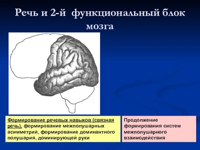 Речь и 2-й функциональный блок мозга Формирование речевых навыков (связная речь), формирование