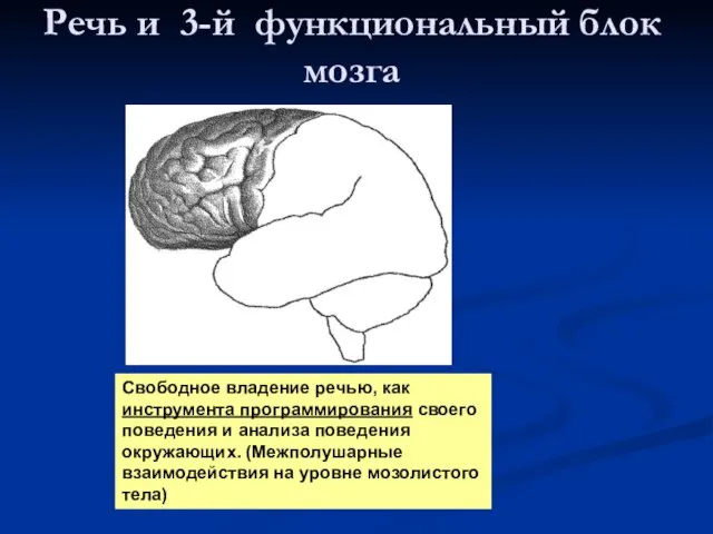 Речь и 3-й функциональный блок мозга Свободное владение речью, как инструмента программирования