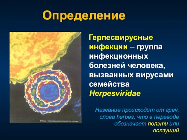 Герпесвирусные инфекции – группа инфекционных болезней человека, вызванных вирусами семейства Herpesviridae Название