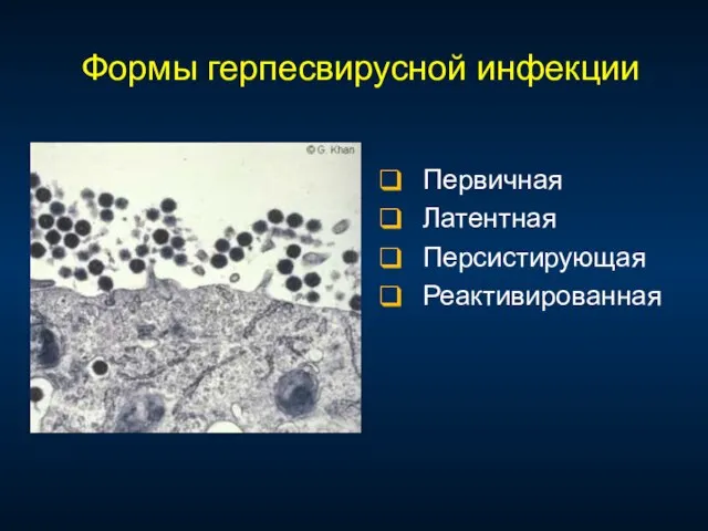 Формы герпесвирусной инфекции Первичная Латентная Персистирующая Реактивированная