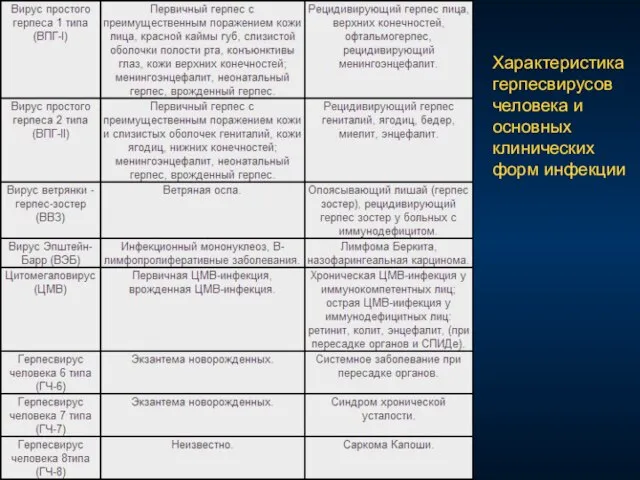 Характеристика герпесвирусов человека и основных клинических форм инфекции