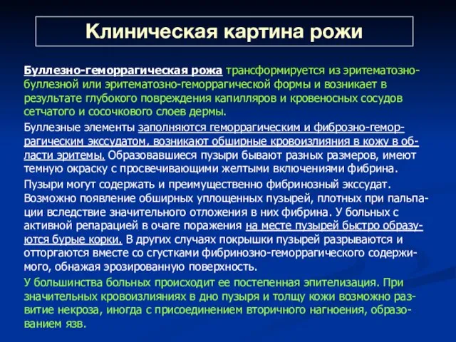 Клиническая картина рожи Буллезно-геморрагическая рожа трансформируется из эритематозно-буллезной или эритематозно-геморрагической формы и