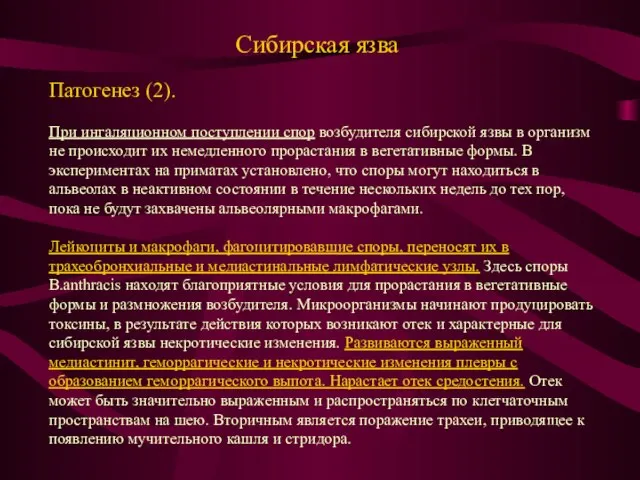 Сибирская язва Патогенез (2). При ингаляционном поступлении спор возбудителя сибирской язвы в