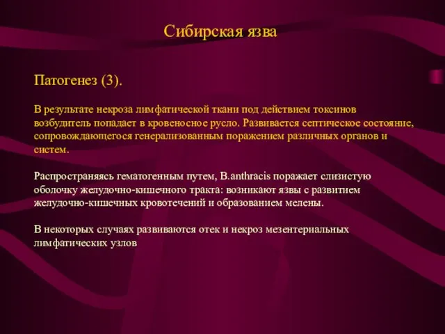 Сибирская язва Патогенез (3). В результате некроза лимфатической ткани под действием токсинов