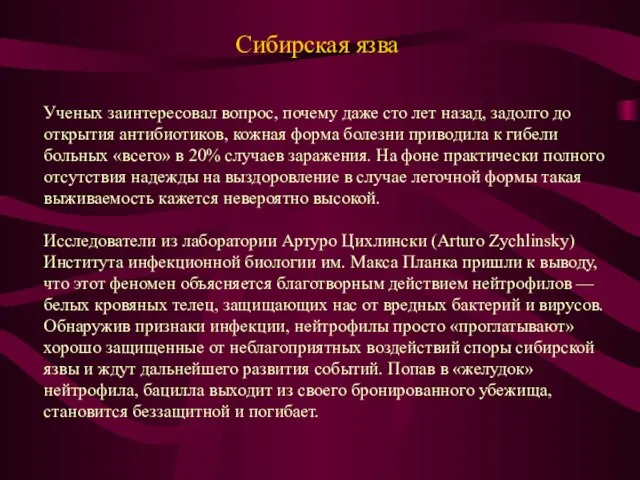 Сибирская язва Ученых заинтересовал вопрос, почему даже сто лет назад, задолго до