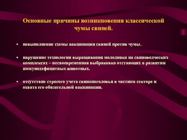 Основные причины возникновения классической чумы свиней. невыполнение схемы вакцинации свиней против чумы.