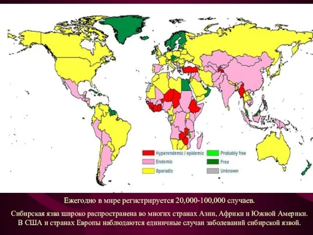 Ежегодно в мире регистрируется 20,000-100,000 случаев. Сибирская язва широко распространена во многих