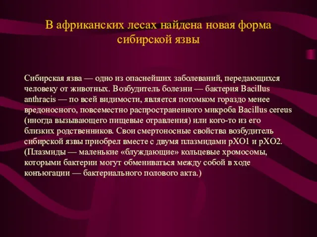 В африканских лесах найдена новая форма сибирской язвы Сибирская язва — одно