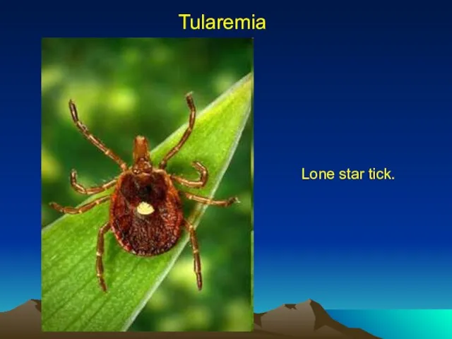 Tularemia Lone star tick.