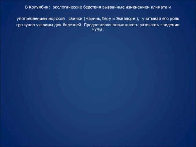 В Колумбии: экологические бедствия вызванные изменением климата и употреблением морской свинки (Наринь,Перу