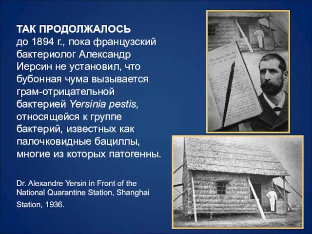 ТАК ПРОДОЛЖАЛОСЬ до 1894 г., пока французский бактериолог Александр Иерсин не установил,